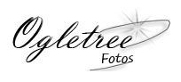 Ogletree Fotos Ogletree Fotos Logo